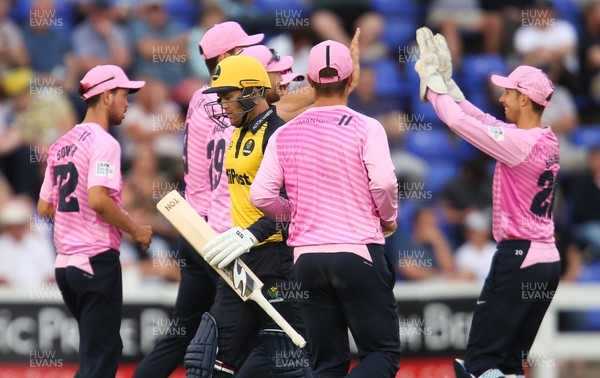 260719 - Glamorgan v Middlesex, Vitality Blast - Middlesex players celebrate as Colin Ingram of Glamorgan makes his way from the wicket after being caught out