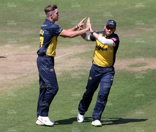 040719 - Glamorgan Cricket v Netherlands - T20 Friendly - Roman Walker celebrates with David Lloyd after taking a wicket