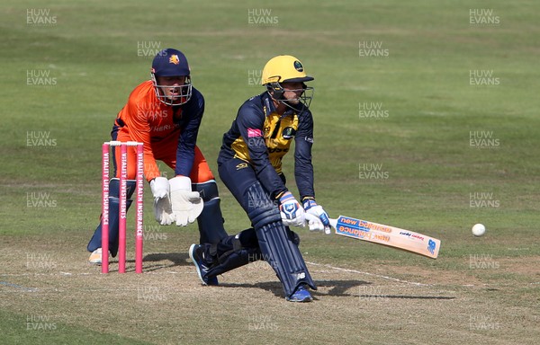 040719 - Glamorgan Cricket v Netherlands - T20 Friendly - Billy Root of Glamorgan batting