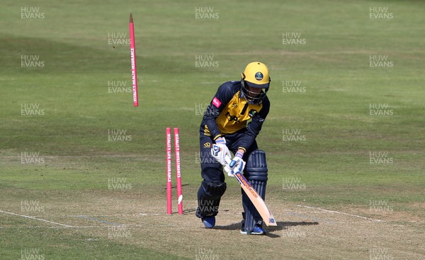 040719 - Glamorgan Cricket v Netherlands - T20 Friendly - Billy Root of Glamorgan is bowled out