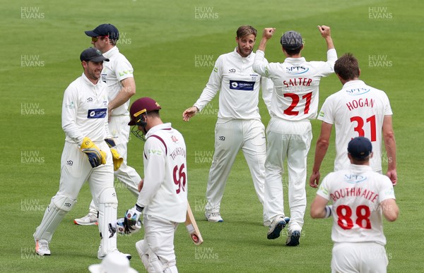 120721 - Glamorgan v Northamptonshire - LV= County Championship - Billy Root celebrates taking the wicket of Luke Procter with team mates