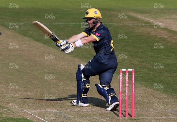 130920 - Glamorgan v Northamptonshire Steelbacks - Vitality T20 Blast - David Lloyd of Glamorgan batting