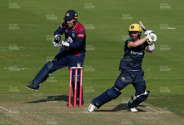 130920 - Glamorgan v Northamptonshire Steelbacks - Vitality T20 Blast - David Lloyd of Glamorgan batting