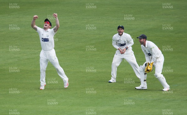 140721 - Glamorgan v Northamptonshire, LV= County Championship - David Lloyd celebrates as Chris Cooke of Glamorgan catches out Charlie Thurston of Northamptonshire off the bowling of Michael Neser