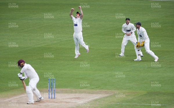 140721 - Glamorgan v Northamptonshire, LV= County Championship - David Lloyd celebrates as Chris Cooke of Glamorgan catches out Charlie Thurston of Northamptonshire off the bowling of Michael Neser