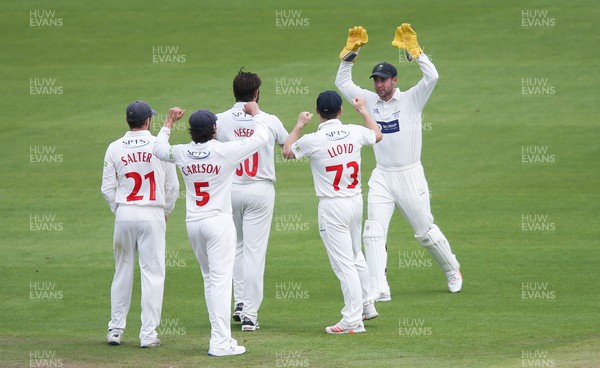 140721 - Glamorgan v Northamptonshire, LV= County Championship - Michael Neser of Glamorgan and Chris Cooke of Glamorgan celebrate with team mates after combining to catch out Charlie Thurston of Northamptonshire
