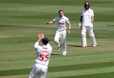 160525 - Glamorgan v Northamptonshire - Rothesay County Championship, Division Two - Andy Gorvin of Glamorgan celebrates as Ricardo Vasconcelos is caught by Asa Tribe