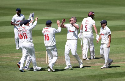 160525 - Glamorgan v Northamptonshire - Rothesay County Championship, Division Two - Timm Van Der Gugten of Glamorgan celebrates after James Sales is dismissed