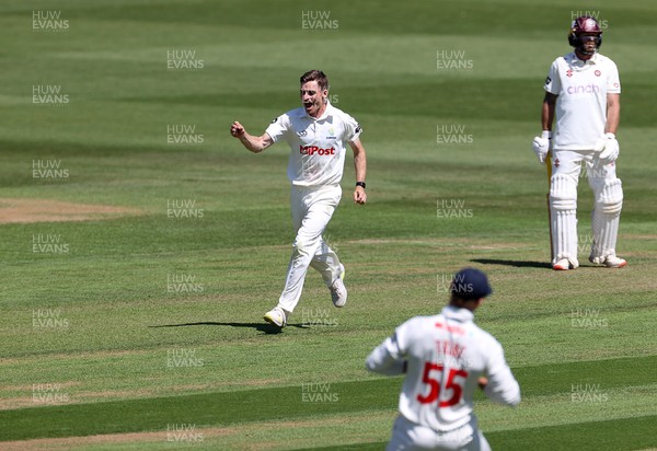 160525 - Glamorgan v Northamptonshire - Rothesay County Championship, Division Two - Andy Gorvin of Glamorgan celebrates as Ricardo Vasconcelos is caught by Asa Tribe