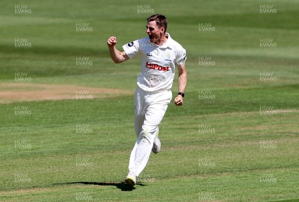 160525 - Glamorgan v Northamptonshire - Rothesay County Championship, Division Two - Andy Gorvin of Glamorgan celebrates as Ricardo Vasconcelos is caught by Asa Tribe