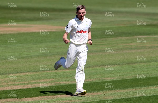 160525 - Glamorgan v Northamptonshire - Rothesay County Championship, Division Two - Andy Gorvin of Glamorgan celebrates as Ricardo Vasconcelos is caught by Asa Tribe