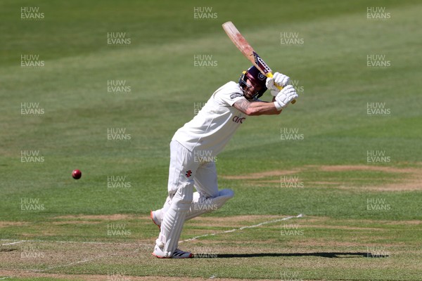 160525 - Glamorgan v Northamptonshire - Rothesay County Championship, Division Two - Luke Procter of Northamptonshire batting