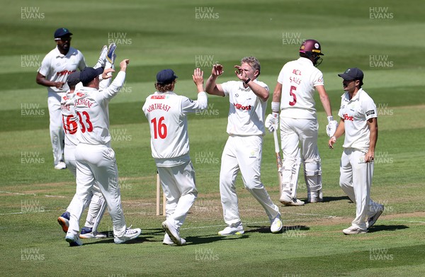 160525 - Glamorgan v Northamptonshire - Rothesay County Championship, Division Two - Timm Van Der Gugten of Glamorgan celebrates after James Sales is dismissed