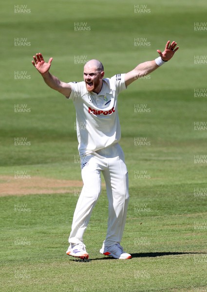 160525 - Glamorgan v Northamptonshire - Rothesay County Championship, Division Two - James Harris of Glamorgan