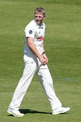 180525 - Glamorgan v Northamptonshire - Rothesay County Championship - Timm Van Der Gugten of Glamorgan celebrates taking the wicket of James Sales of Northamptonshire