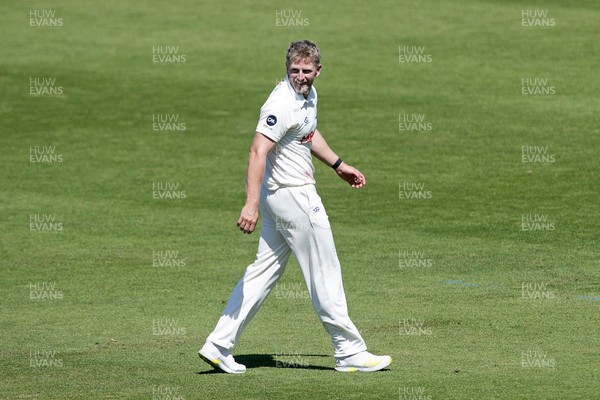 180525 - Glamorgan v Northamptonshire - Rothesay County Championship - Timm Van Der Gugten of Glamorgan celebrates taking the wicket of James Sales of Northamptonshire