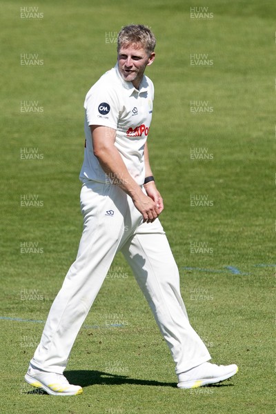 180525 - Glamorgan v Northamptonshire - Rothesay County Championship - Timm Van Der Gugten of Glamorgan celebrates taking the wicket of James Sales of Northamptonshire