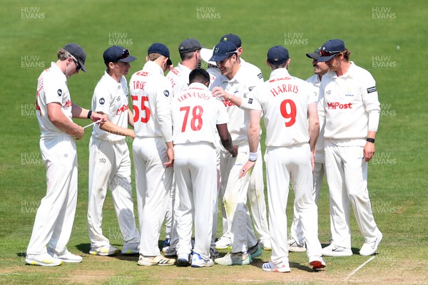180525 - Glamorgan v Northamptonshire - Rothesay County Championship - Chris Cooke of Glamorgan celebrates with team mates after he catches the ball to dismiss Luke Procter of Northamptonshire