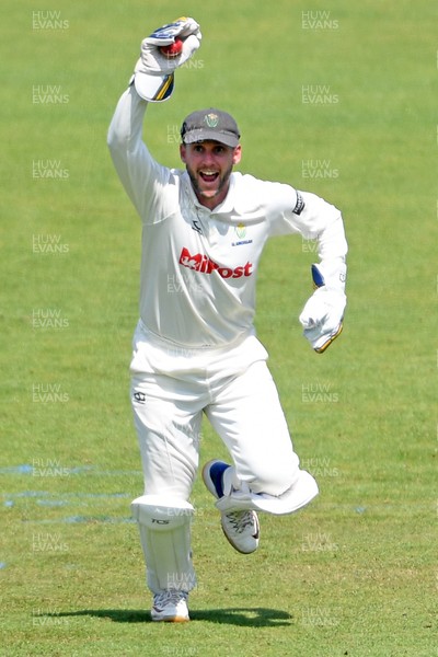 180525 - Glamorgan v Northamptonshire - Rothesay County Championship - Chris Cooke of Glamorgan celebrates after he catches the ball to dismiss Luke Procter of Northamptonshire