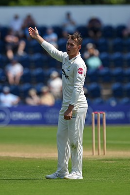 260624 - Glamorgan v Northamptonshire  - Vitality County Championship, Division 2 - Marnus Labuschange of Glamorgan