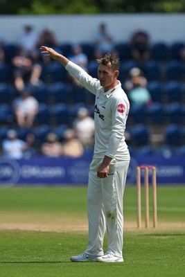 260624 - Glamorgan v Northamptonshire  - Vitality County Championship, Division 2 - Marnus Labuschange of Glamorgan