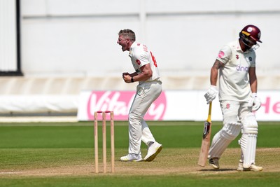 260624 - Glamorgan v Northamptonshire  - Vitality County Championship, Division 2 - Timm Van Der Gugten of Glamorgan celebrates after LBW of Luke Procter of Northamptonshire 