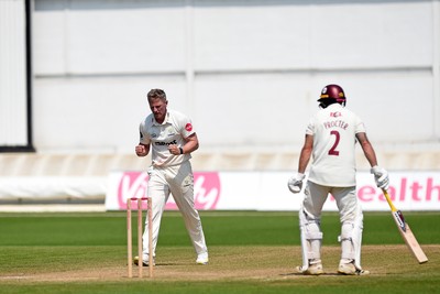 260624 - Glamorgan v Northamptonshire  - Vitality County Championship, Division 2 - Timm Van Der Gugten of Glamorgan celebrates after LBW of Luke Procter of Northamptonshire 