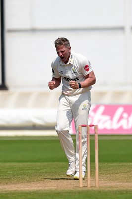 260624 - Glamorgan v Northamptonshire  - Vitality County Championship, Division 2 - Timm Van Der Gugten of Glamorgan celebrates after LBW of Luke Procter of Northamptonshire 