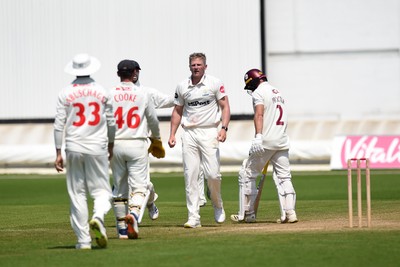 260624 - Glamorgan v Northamptonshire  - Vitality County Championship, Division 2 - Timm Van Der Gugten of Glamorgan celebrates with teammates after LBW of Luke Procter of Northamptonshire 