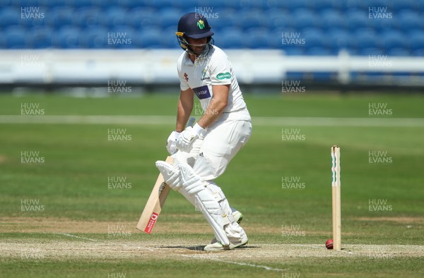 280618 - Glamorgan v Northamptonshire, Specsavers County Championship Div 2 - Chris Cooke of Glamorgan is bowled out