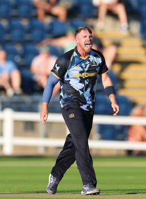 080726 - Glamorgan v Northamptonshire Steelbacks, Vitality Blast Men - Dan Douthwaite of Glamorgan celebrates as he dismisses Louis Kimber of Northamptonshire Steelbacks lbw