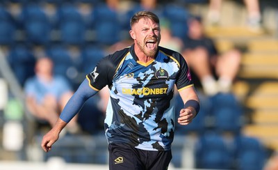 080726 - Glamorgan v Northamptonshire Steelbacks, Vitality Blast Men - Dan Douthwaite of Glamorgan celebrates as he dismisses Louis Kimber of Northamptonshire Steelbacks lbw