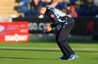 080726 - Glamorgan v Northamptonshire Steelbacks, Vitality Blast Men - Asa Tribe of Glamorgan catches Chris Lynn of Northamptonshire Steelbacks
