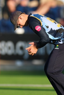080726 - Glamorgan v Northamptonshire Steelbacks, Vitality Blast Men - Asa Tribe of Glamorgan catches Chris Lynn of Northamptonshire Steelbacks