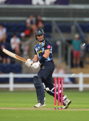 080726 - Glamorgan v Northamptonshire Steelbacks, Vitality Blast Men - Timm van der Gugten of Glamorgan looks on as he is bowled by David Willey of Northamptonshire Steelbacks