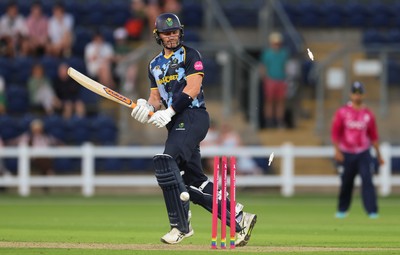080726 - Glamorgan v Northamptonshire Steelbacks, Vitality Blast Men - Timm van der Gugten of Glamorgan looks on as he is bowled by David Willey of Northamptonshire Steelbacks