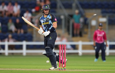 080726 - Glamorgan v Northamptonshire Steelbacks, Vitality Blast Men - Timm van der Gugten of Glamorgan looks on as he is bowled by David Willey of Northamptonshire Steelbacks