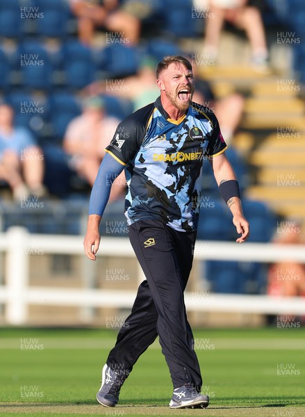 080726 - Glamorgan v Northamptonshire Steelbacks, Vitality Blast Men - Dan Douthwaite of Glamorgan celebrates as he dismisses Louis Kimber of Northamptonshire Steelbacks lbw