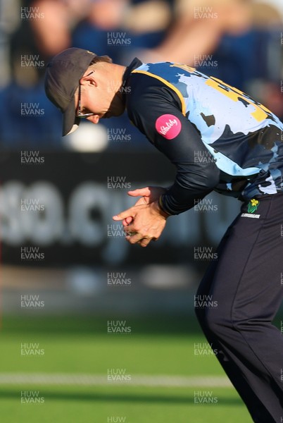 080726 - Glamorgan v Northamptonshire Steelbacks, Vitality Blast Men - Asa Tribe of Glamorgan catches Chris Lynn of Northamptonshire Steelbacks