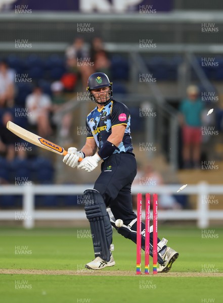 080726 - Glamorgan v Northamptonshire Steelbacks, Vitality Blast Men - Timm van der Gugten of Glamorgan looks on as he is bowled by David Willey of Northamptonshire Steelbacks