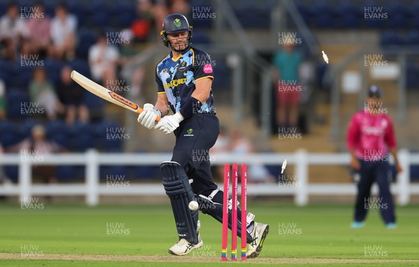 080726 - Glamorgan v Northamptonshire Steelbacks, Vitality Blast Men - Timm van der Gugten of Glamorgan looks on as he is bowled by David Willey of Northamptonshire Steelbacks