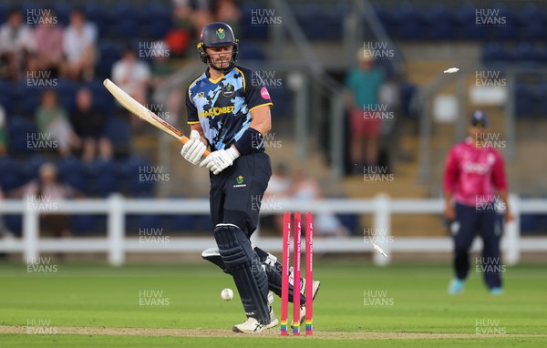 080726 - Glamorgan v Northamptonshire Steelbacks, Vitality Blast Men - Timm van der Gugten of Glamorgan looks on as he is bowled by David Willey of Northamptonshire Steelbacks