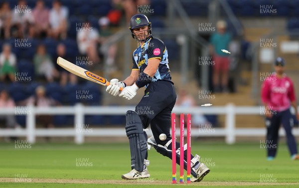 080726 - Glamorgan v Northamptonshire Steelbacks, Vitality Blast Men - Timm van der Gugten of Glamorgan looks on as he is bowled by David Willey of Northamptonshire Steelbacks