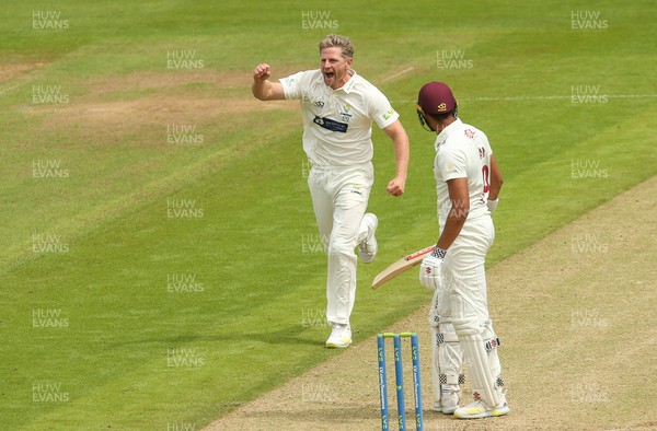 110721 - Glamorgan v Northamptonshire, LV County Championship - Timm van der Gugten of Glamorgan celebrates as Chris Cooke of Glamorgan catches Emilio Gay of Northamptonshire for 22 off his bowling
