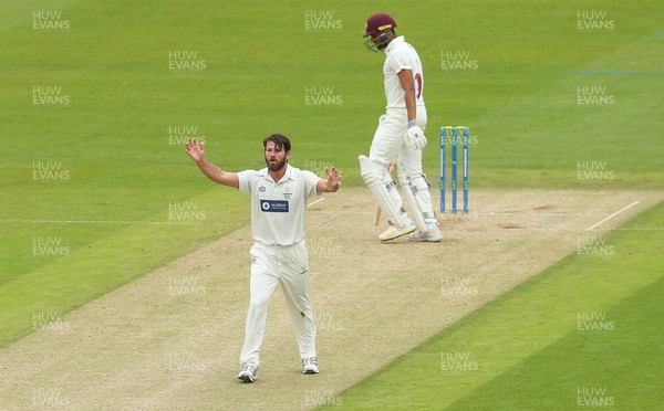 110721 - Glamorgan v Northamptonshire, LV= County Championship - Michael Neser of Glamorgan makes an unsuccessful appeal for the wicket of Emilio Gay of Northamptonshire