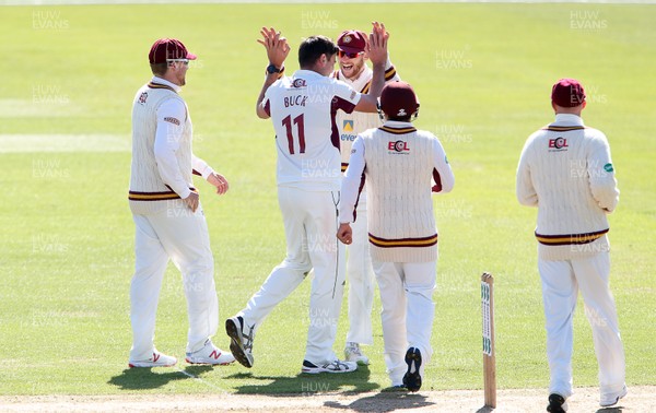 110419 - Glamorgan Cricket v Northants - Specsavers County Championship Division Two - Nathan Buck of Northants celebrates with team mates after Nick Selman of Glamorgan was caught by Alex Wakely