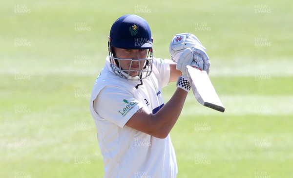 110419 - Glamorgan Cricket v Northants - Specsavers County Championship Division Two - Charlie Hemphrey of Glamorgan batting