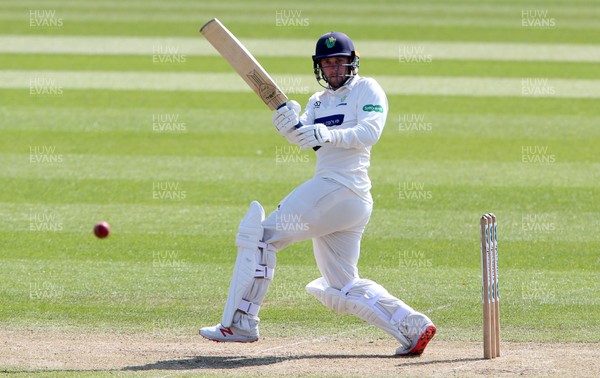 120419 - Glamorgan Cricket v Northamptonshire - Specsavers County Championship Division Two - Chris Cooke of Glamorgan batting