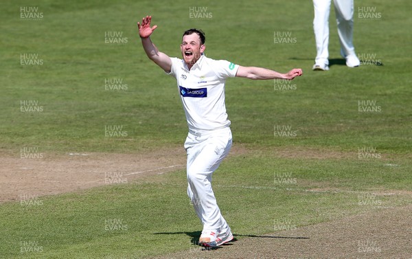 120419 - Glamorgan Cricket v Northamptonshire - Specsavers County Championship Division Two - Graham Wagg of Glamorgan appeals for a wicket