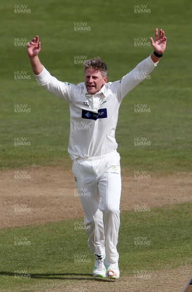 140419 - Glamorgan Cricket v Northamptonshire - Specsavers County Championship Division Two - Timm Van Der Gugten of Glamorgan appeals for a wicket
